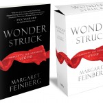 Wonderstruck: An Interview With Margaret Feinberg